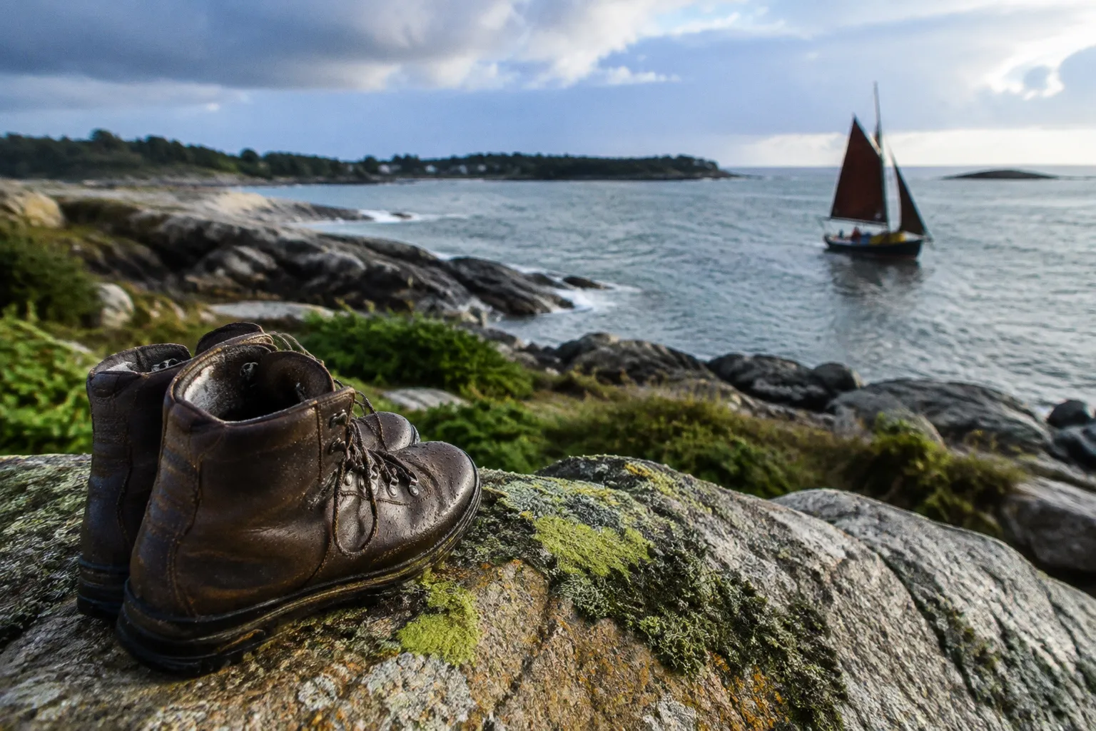 Balades nature accompagnées : 5 circuits en Morbihan