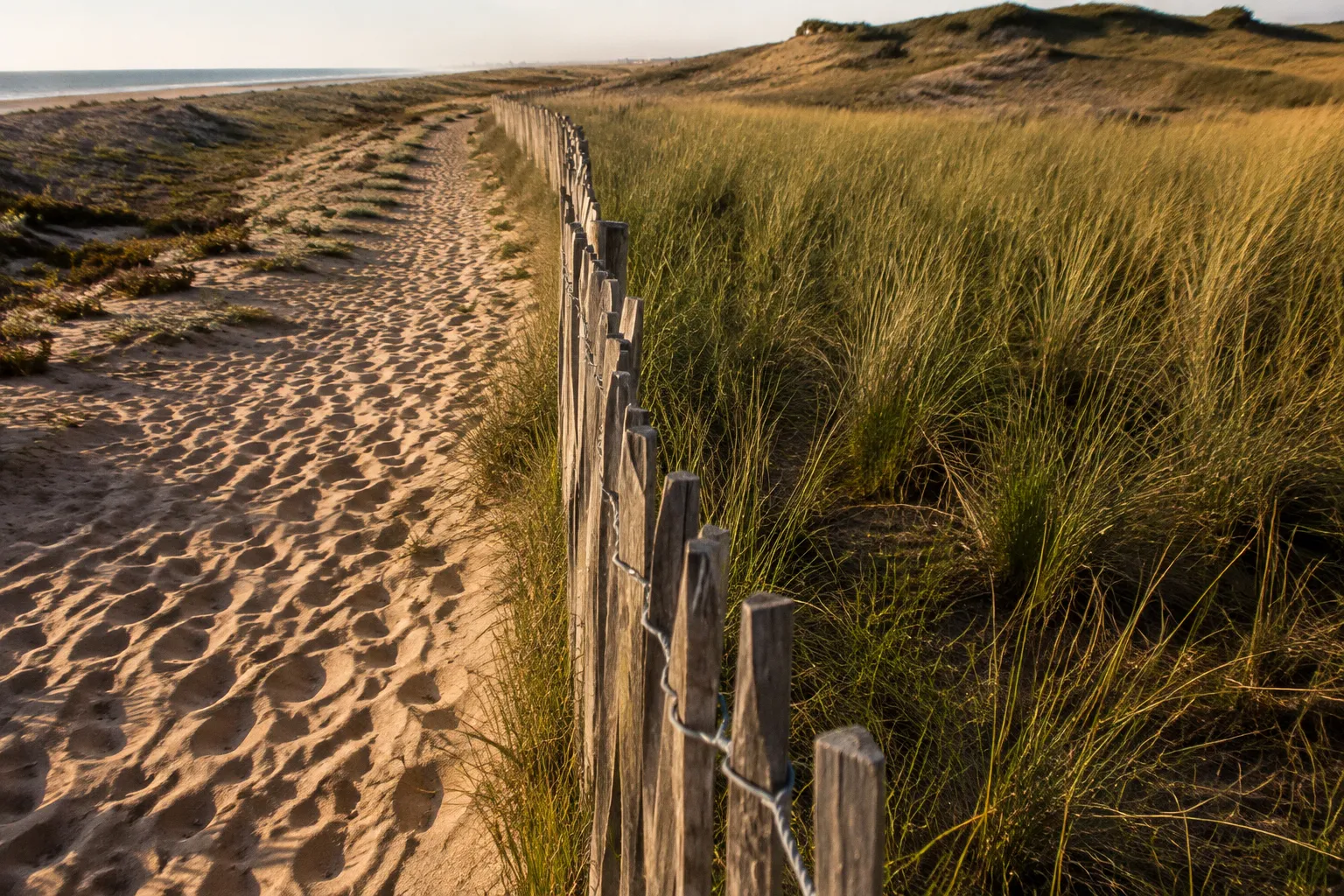 Dunes du Morbihan : l'effet visible de la mise en défens
