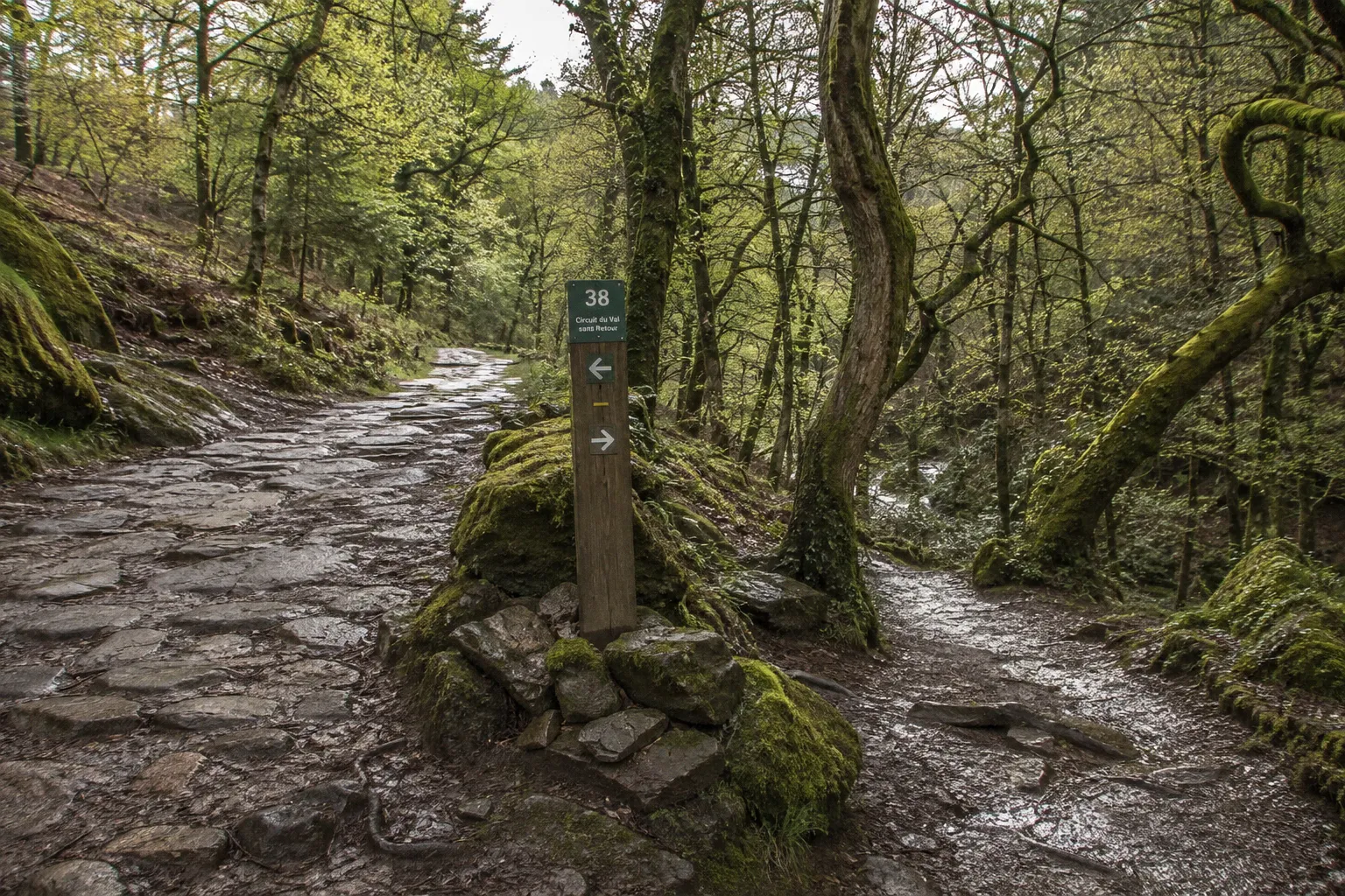 Forêt de Brocéliande : la boucle du Val sans Retour