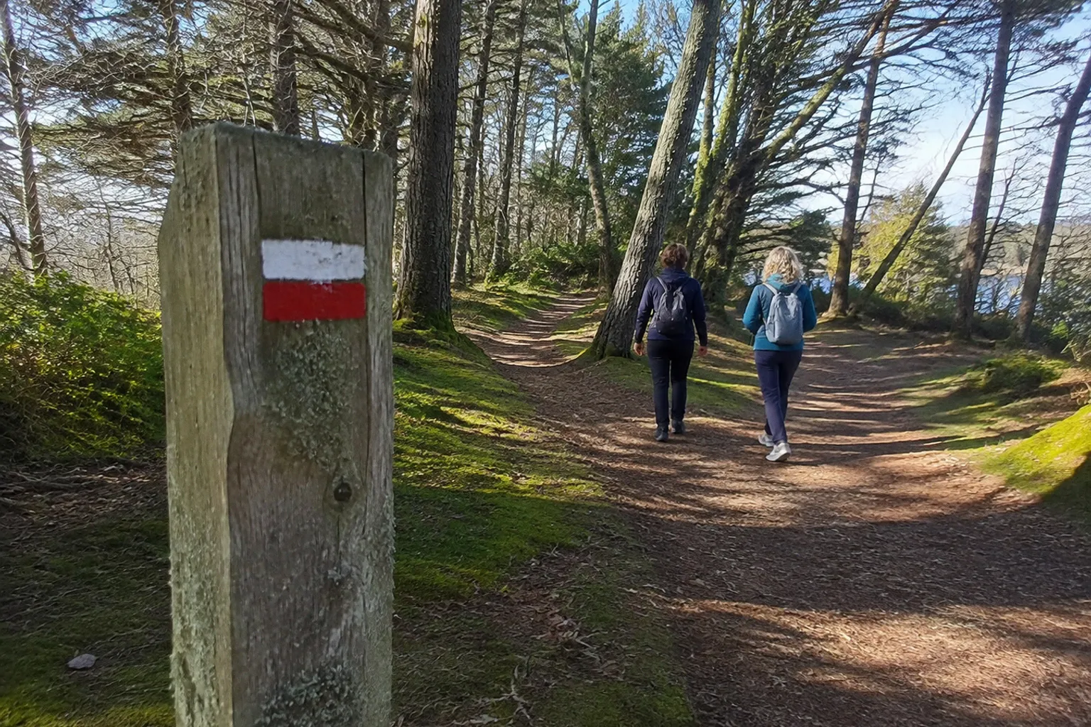 Guide nature en Morbihan : 4 repères pour une sortie réussie