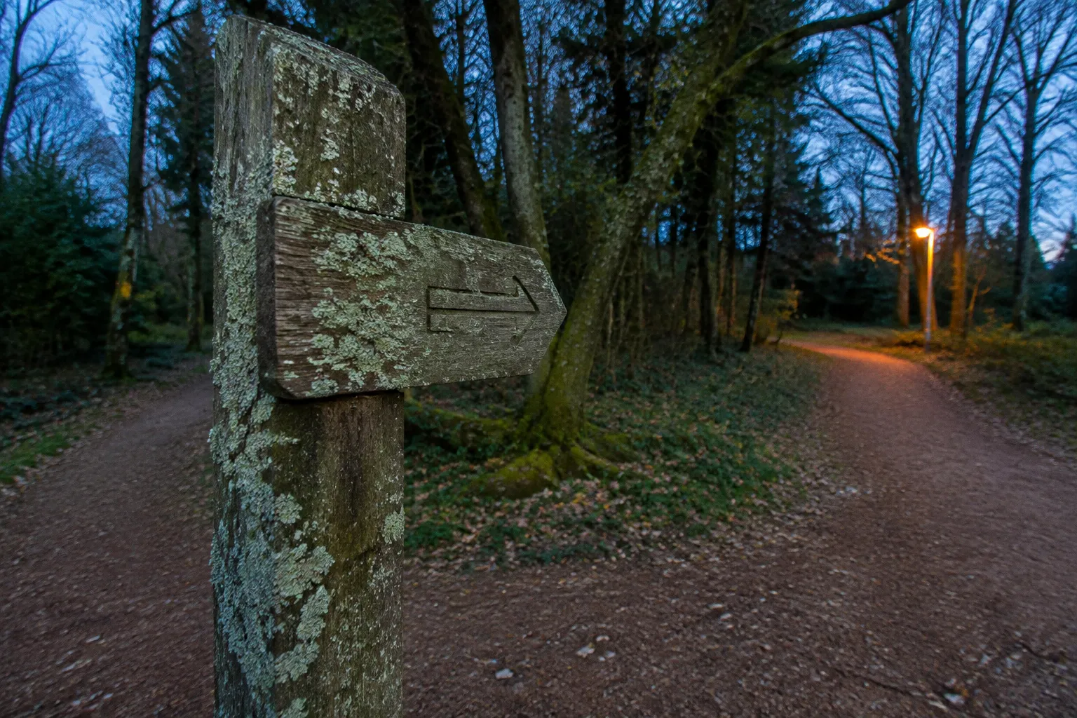 Sortie nature en Morbihan : 4 conseils pour bien la choisir